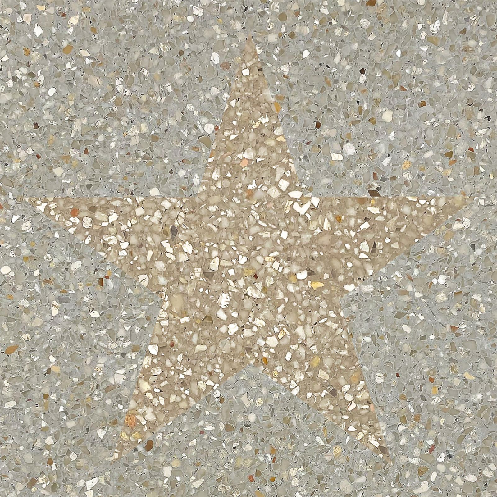 Az egyedi megjelenésű N2010T terrazzo cementlap otthona padlóját stílusossá és időtállóvá teszi az Iamart prémium termékeként. Pontos mérete 20x20 centiméter.